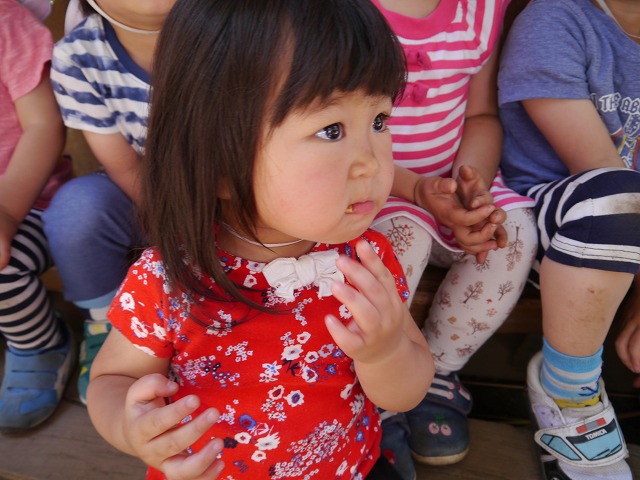 f:id:sonnoubaby:20190530123932j:plain