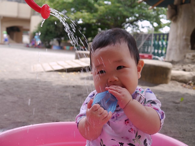f:id:sonnoubaby:20190820120953j:plain f:id:sonnoubaby:20190820120953j:plain