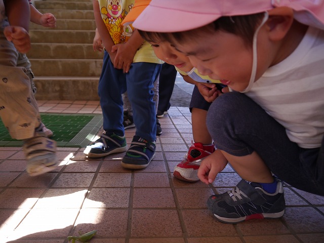 f:id:sonnoubaby:20191009144312j:plain