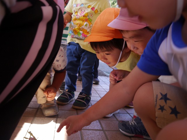 f:id:sonnoubaby:20191009144316j:plain