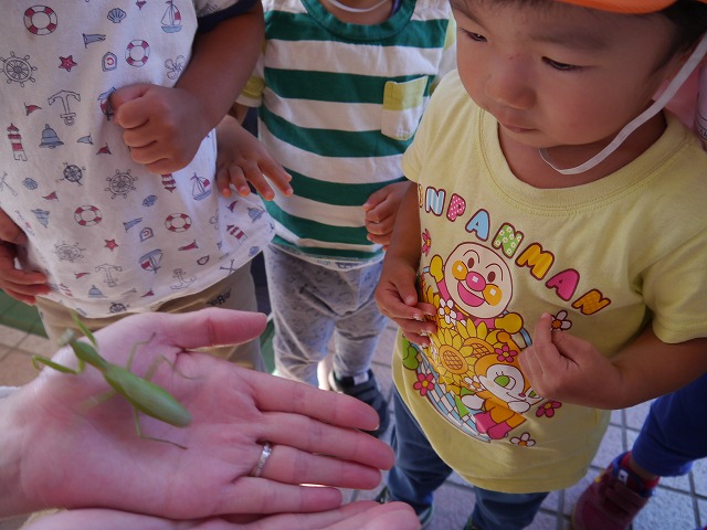 f:id:sonnoubaby:20191009144319j:plain