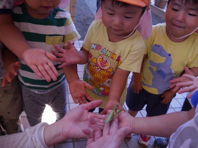 f:id:sonnoubaby:20191009144323j:plain