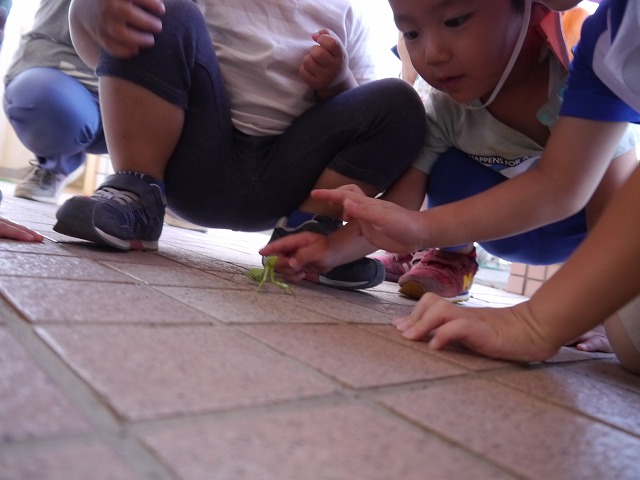 f:id:sonnoubaby:20191009144341j:plain