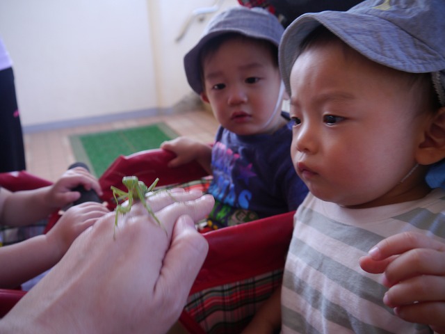 f:id:sonnoubaby:20191009144348j:plain
