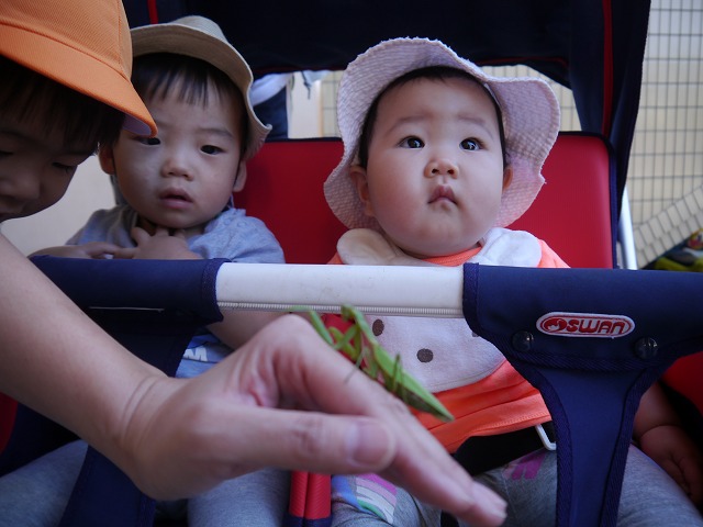 f:id:sonnoubaby:20191009144352j:plain