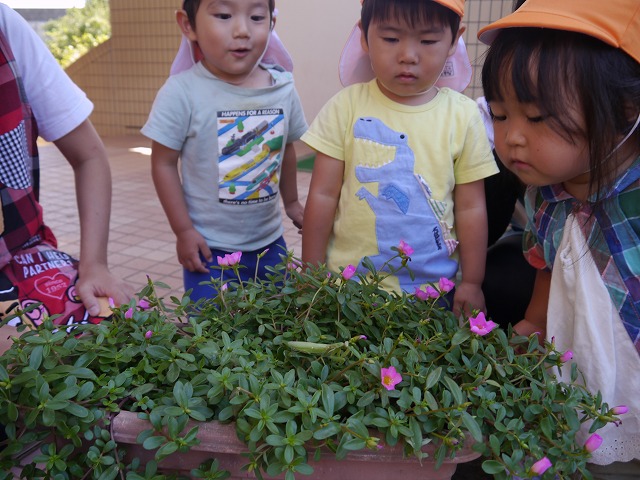f:id:sonnoubaby:20191009144356j:plain