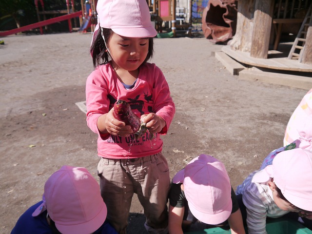 f:id:sonnoubaby:20191023144732j:plain