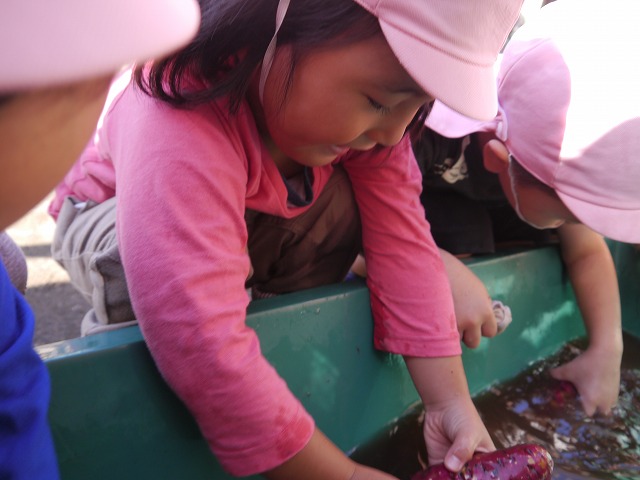 f:id:sonnoubaby:20191023144739j:plain