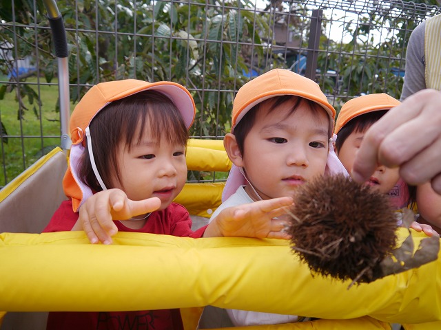 f:id:sonnoubaby:20191028151611j:plain f:id:sonnoubaby:20191028151611j:plain