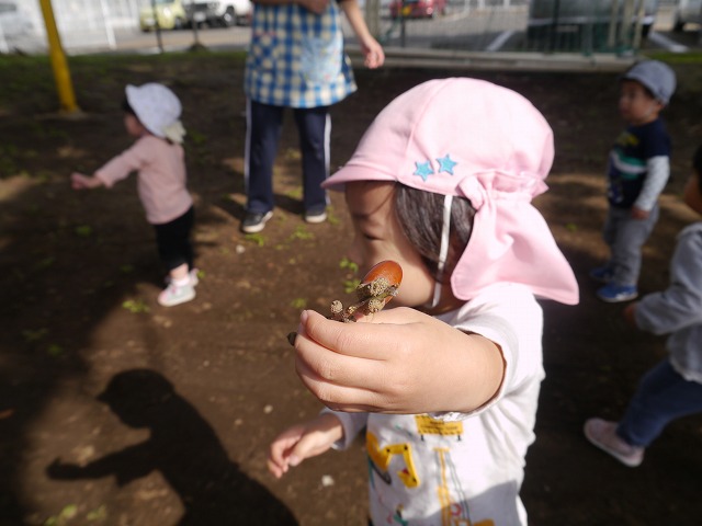 f:id:sonnoubaby:20191028151622j:plain f:id:sonnoubaby:20191028151622j:plain