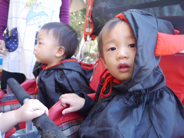f:id:sonnoubaby:20191030170253j:plain