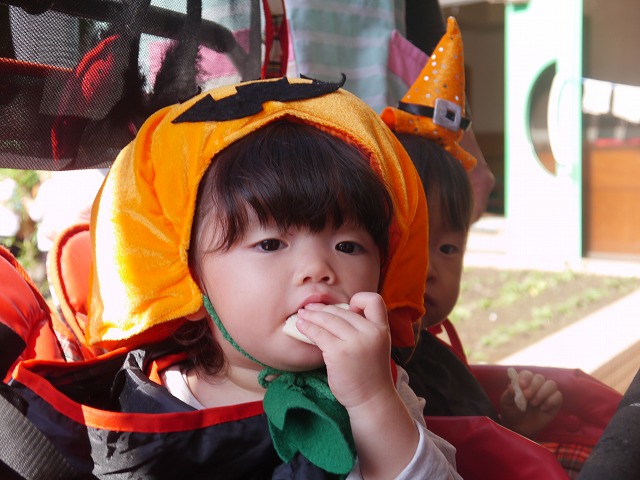 f:id:sonnoubaby:20191030170325j:plain