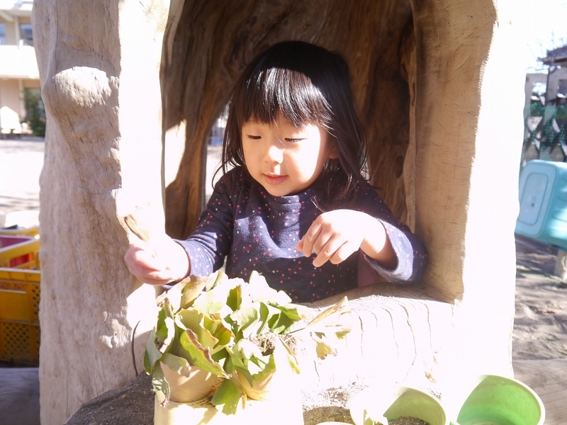 f:id:sonnoubaby:20191121115339j:plain