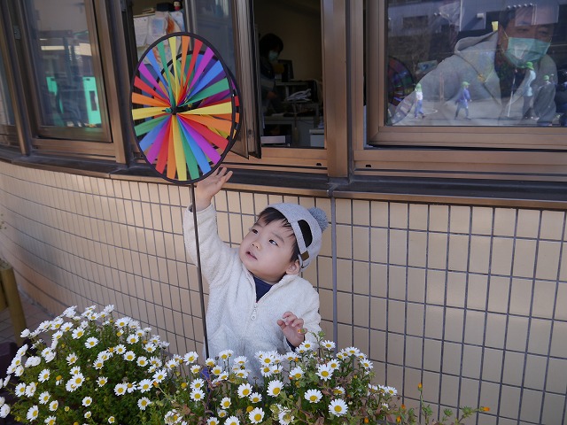 f:id:sonnoubaby:20200312121302j:plain f:id:sonnoubaby:20200312121302j:plain