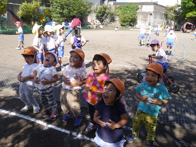 f:id:sonnoubaby:20201002142047j:plain f:id:sonnoubaby:20201002142047j:plain