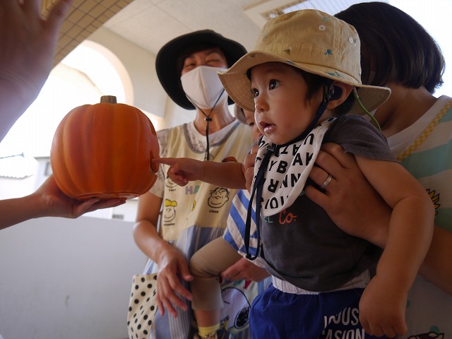 f:id:sonnoubaby:20201002142133j:plain f:id:sonnoubaby:20201002142133j:plain