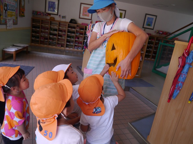 f:id:sonnoubaby:20201002142137j:plain f:id:sonnoubaby:20201002142137j:plain