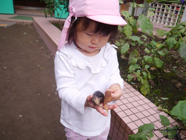 f:id:sonnoubaby:20201014114210j:plain
