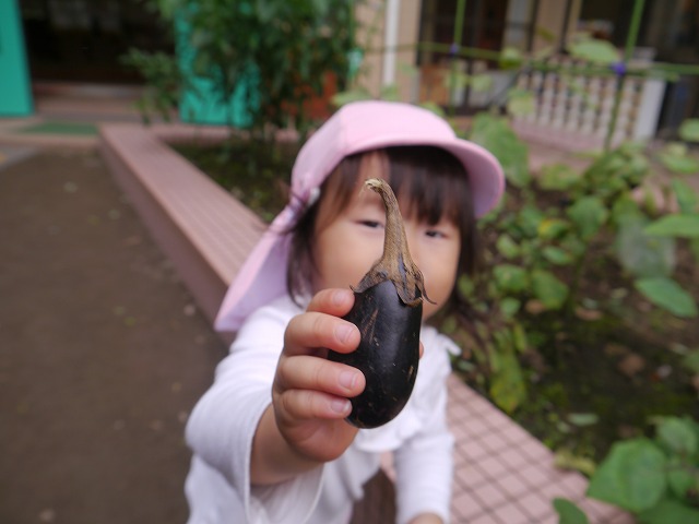 f:id:sonnoubaby:20201014114214j:plain