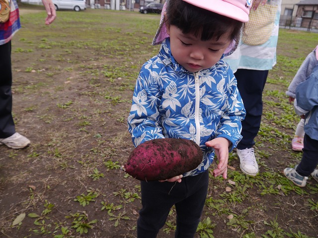 f:id:sonnoubaby:20201019133548j:plain