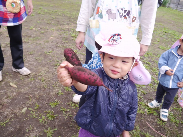 f:id:sonnoubaby:20201019133552j:plain