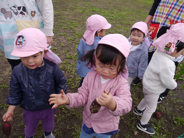 f:id:sonnoubaby:20201019133557j:plain