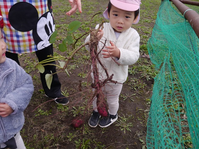 f:id:sonnoubaby:20201019133604j:plain