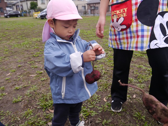f:id:sonnoubaby:20201019133608j:plain
