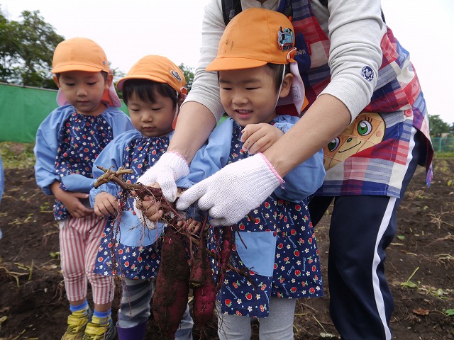 f:id:sonnoubaby:20201019133615j:plain