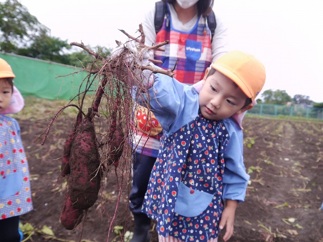 f:id:sonnoubaby:20201019133635j:plain