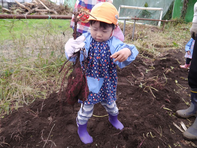 f:id:sonnoubaby:20201019133706j:plain