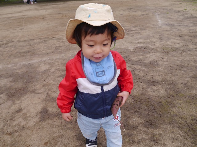 f:id:sonnoubaby:20201019133723j:plain