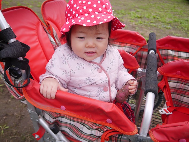f:id:sonnoubaby:20201019133726j:plain