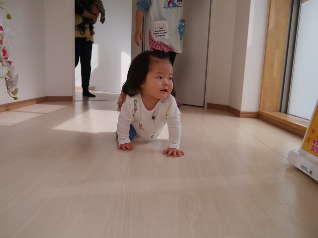 f:id:sonnoubaby:20201020114902j:plain f:id:sonnoubaby:20201020114902j:plain