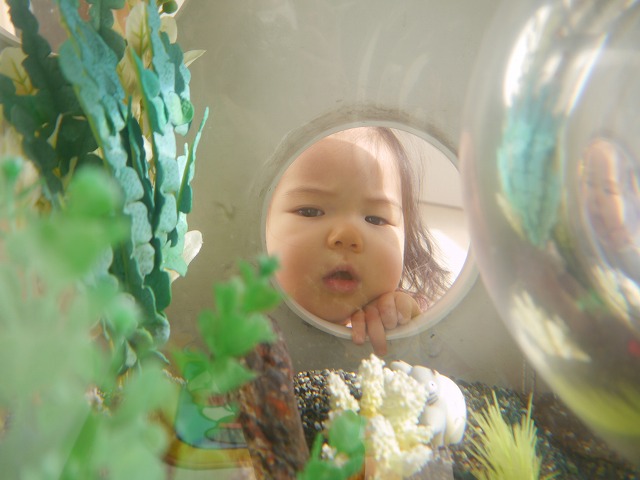 f:id:sonnoubaby:20201020114911j:plain f:id:sonnoubaby:20201020114911j:plain