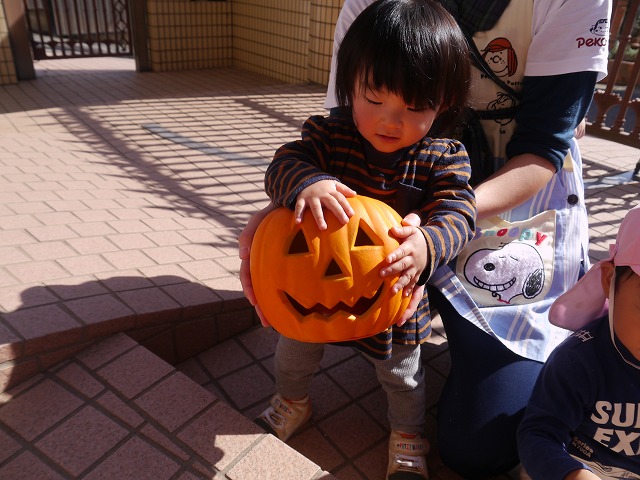 f:id:sonnoubaby:20201026111922j:plain