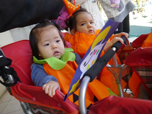 f:id:sonnoubaby:20201029115322j:plain f:id:sonnoubaby:20201029115322j:plain