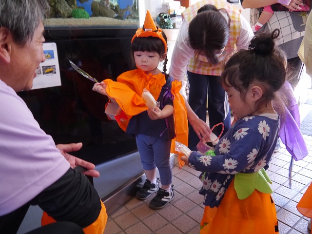f:id:sonnoubaby:20201029115342j:plain f:id:sonnoubaby:20201029115342j:plain