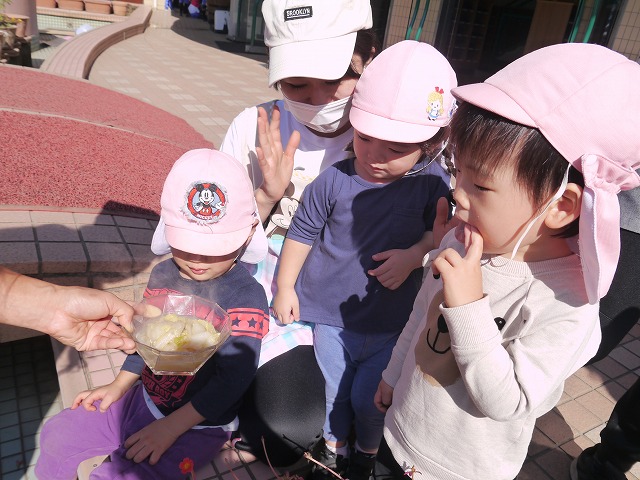 f:id:sonnoubaby:20201029115416j:plain f:id:sonnoubaby:20201029115416j:plain
