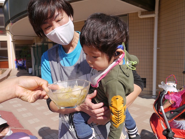 f:id:sonnoubaby:20201029115421j:plain f:id:sonnoubaby:20201029115421j:plain