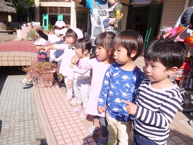 f:id:sonnoubaby:20201029115432j:plain f:id:sonnoubaby:20201029115432j:plain