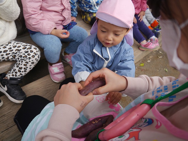 f:id:sonnoubaby:20201030132807j:plain
