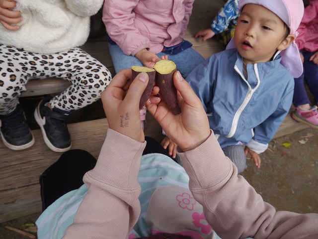 f:id:sonnoubaby:20201030132811j:plain