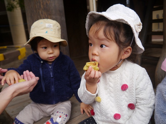 f:id:sonnoubaby:20201030132814j:plain
