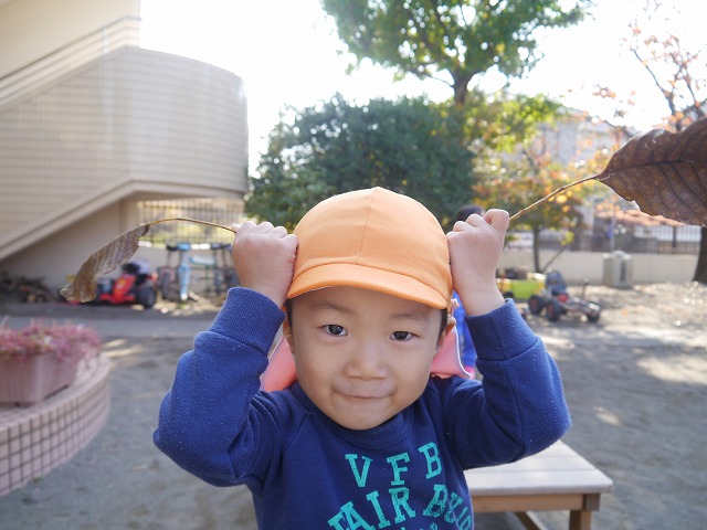 f:id:sonnoubaby:20201117134220j:plain