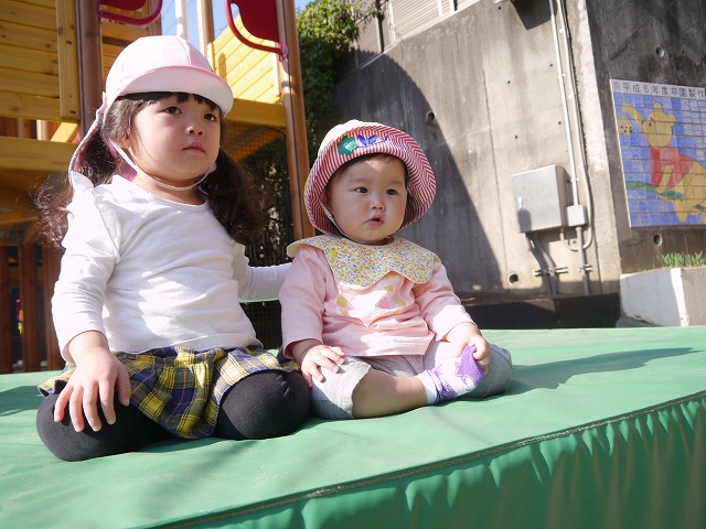 f:id:sonnoubaby:20201117134246j:plain
