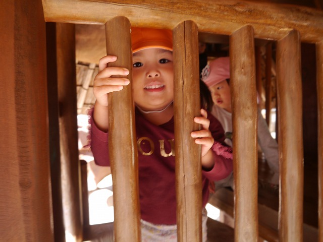 f:id:sonnoubaby:20201117134253j:plain
