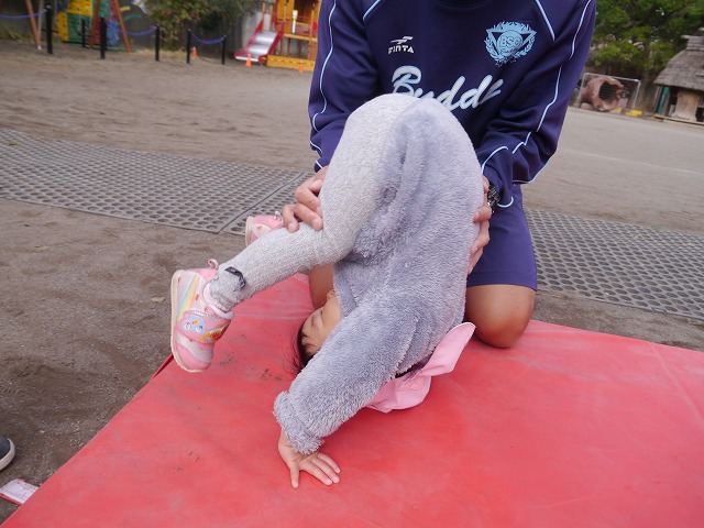 f:id:sonnoubaby:20201126134149j:plain