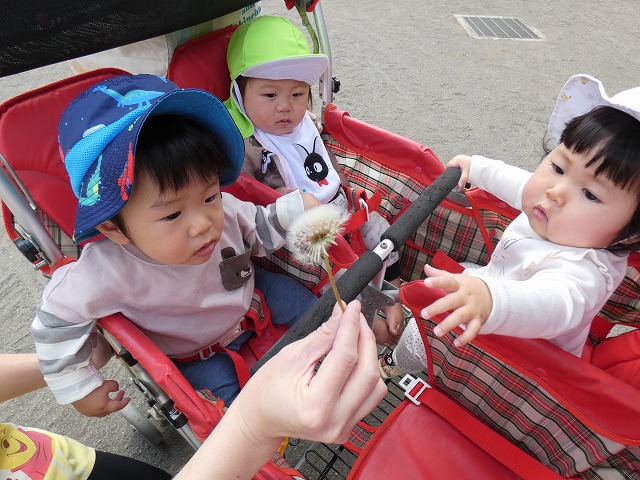 f:id:sonnoubaby:20210412123716j:plain