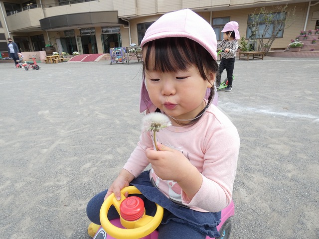 f:id:sonnoubaby:20210412123718j:plain